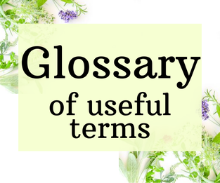Glossary of useful terms