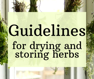 Guidelines for drying and storing herbs